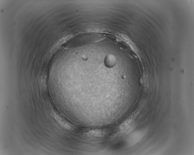 X0000064040441200601301152