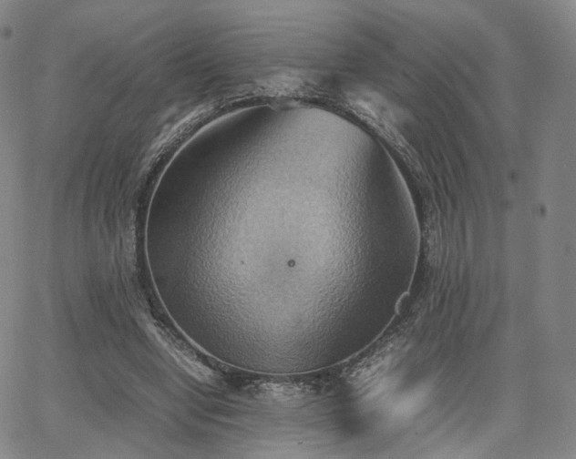 X0000064040442200601301152