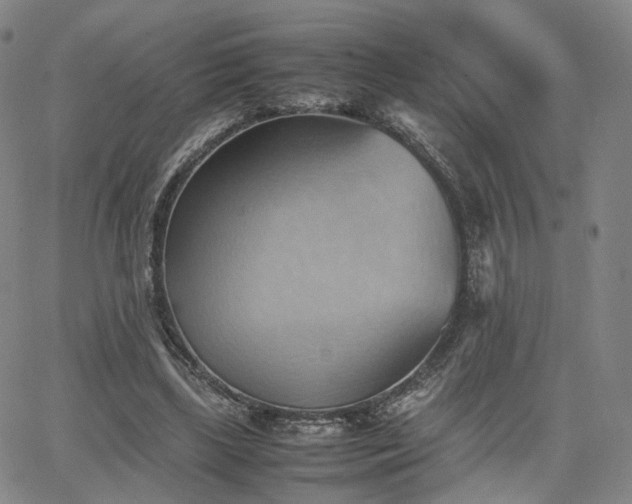 X0000064040443200601301152