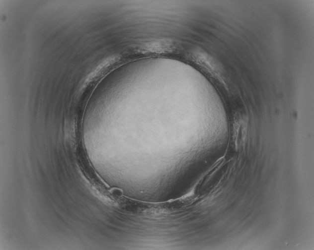 X0000064040444200601301152