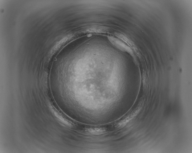 X0000064040445200601301152