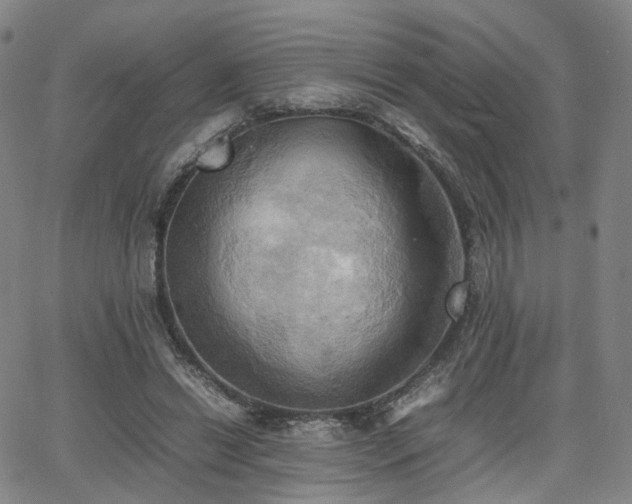 X0000064040446200601301152