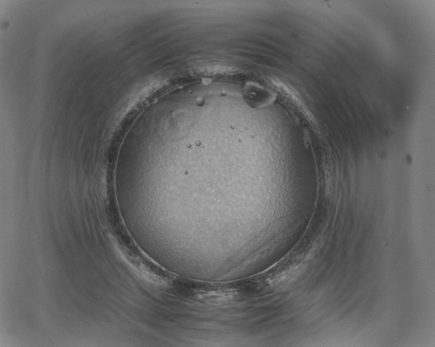 X0000064040447200601301153