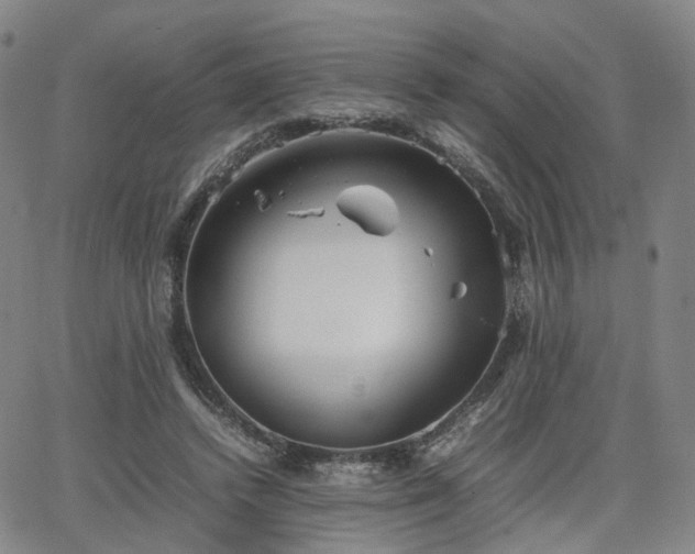 X0000064040448200601301153