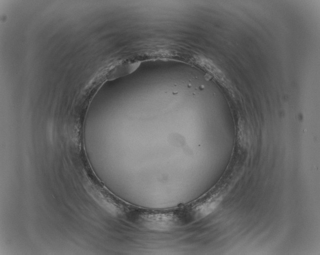 X0000064040449200601301153