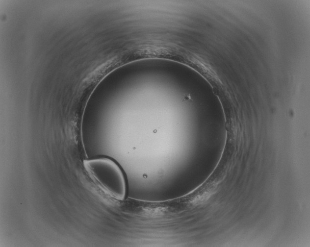 X0000064040450200601301153