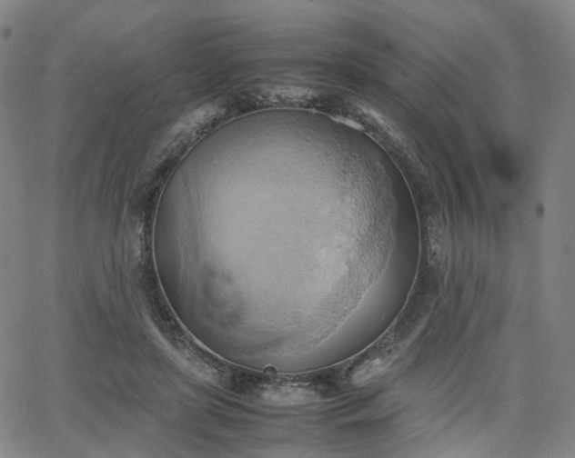 X0000064040451200601301153