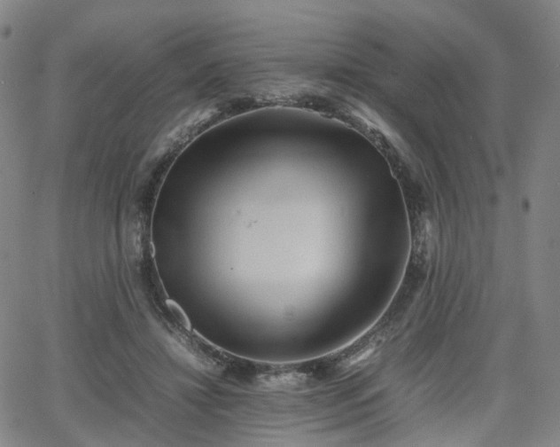 X0000064040452200601301153