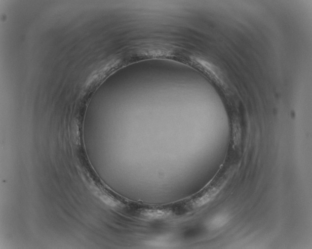 X0000064040453200601301153