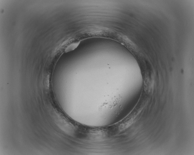 X0000064040454200601301153