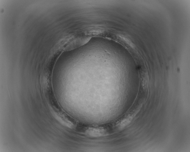 X0000064040455200601301153