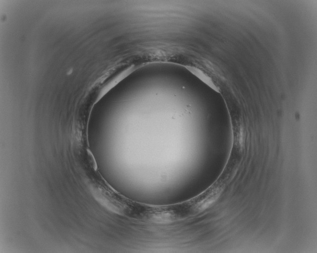 X0000064040456200601301153