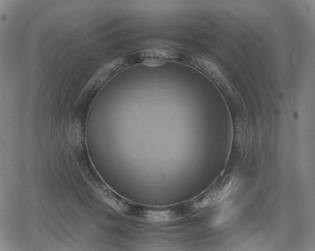 X0000064040457200601301153