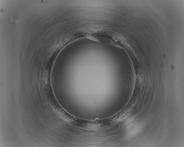 X0000064040458200601301153