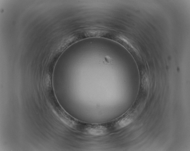 X0000064040459200601301153