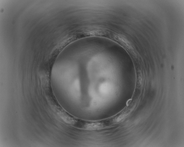 X0000064040461200601301153