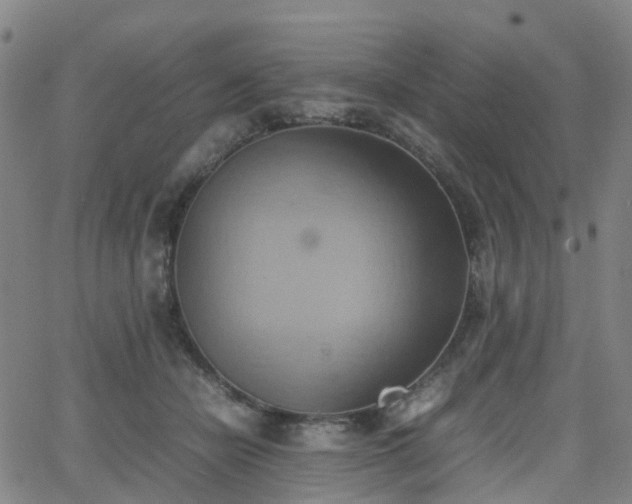 X0000064040462200601301153