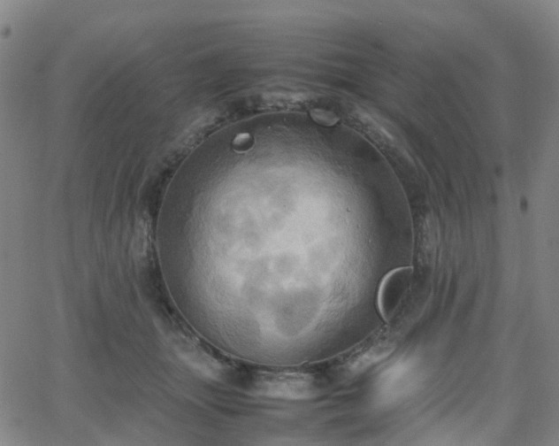 X0000064040463200601301153