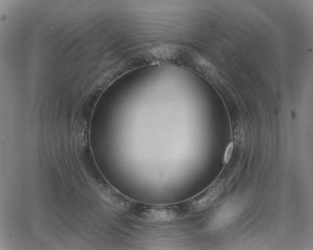 X0000064040464200601301153