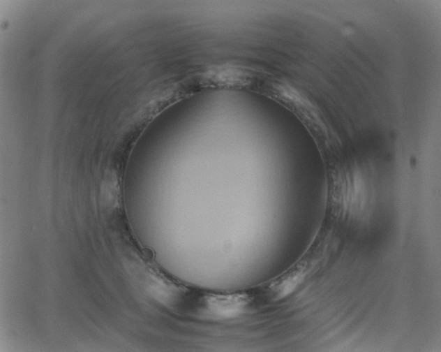 X0000064040465200601301153