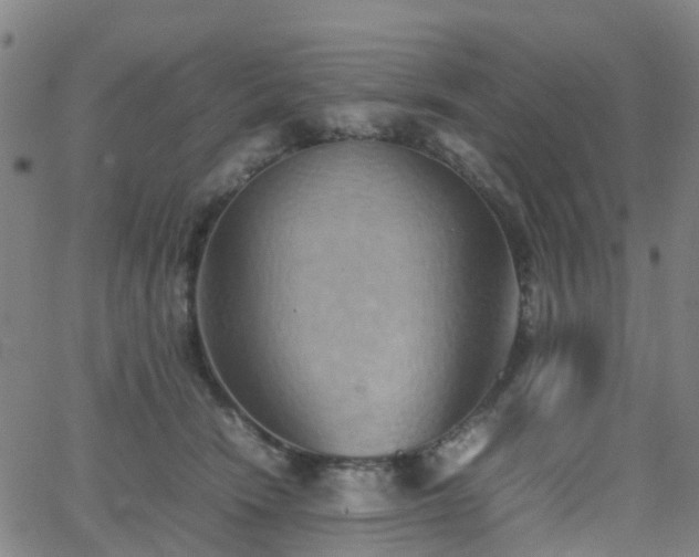 X0000064040466200601301153