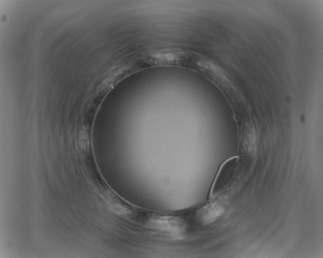 X0000064040467200601301153