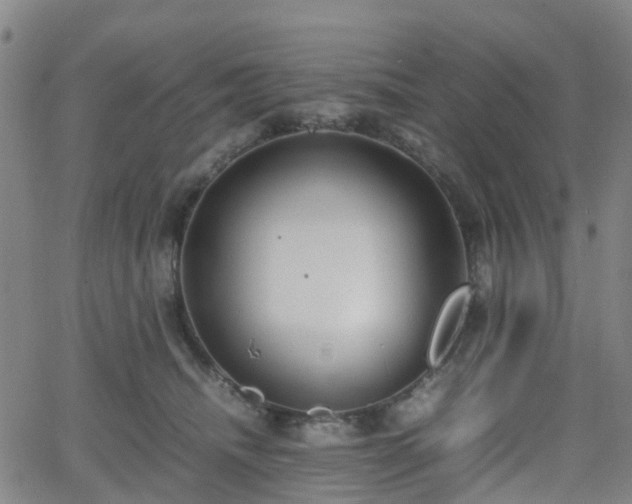 X0000064040468200601301153