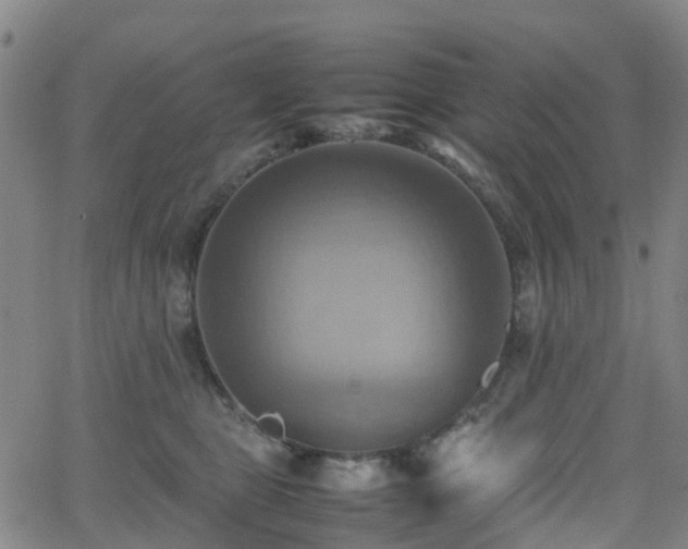 X0000064040469200601301153