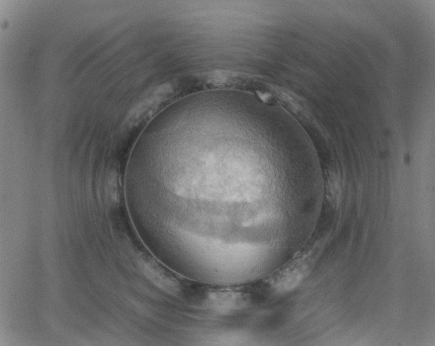 X0000064040470200601301153