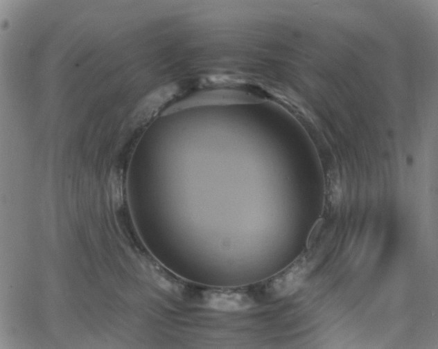 X0000064040471200601301153