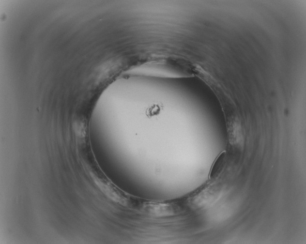 X0000064040472200601301153