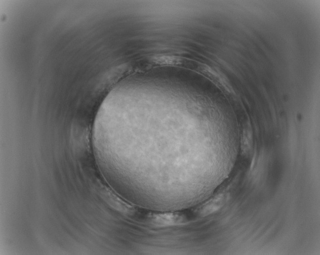 X0000064040473200601301153