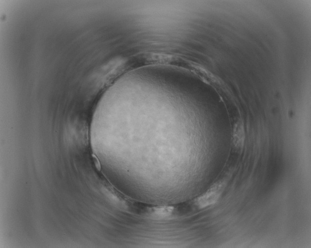 X0000064040474200601301153