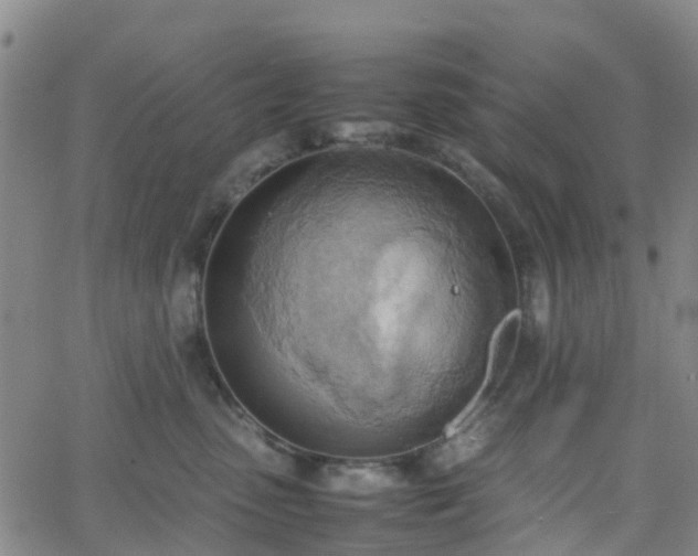 X0000064040475200601301153