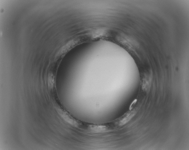 X0000064040476200601301153