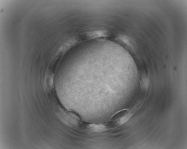 X0000064040477200601301153