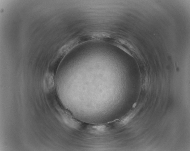 X0000064040478200601301153