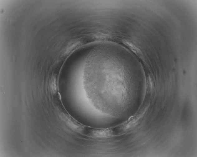 X0000064040479200601301153