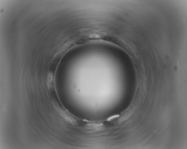 X0000064040480200601301153