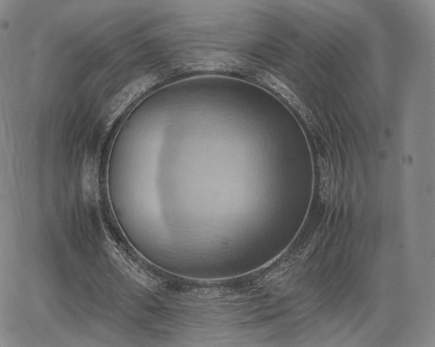 X0000064040482200601301152