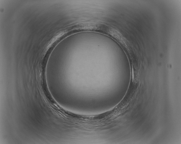 X0000064040483200601301152