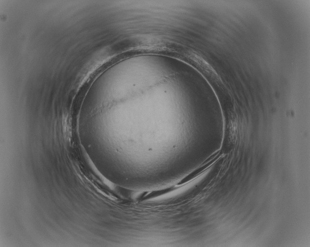 X0000064040484200601301152