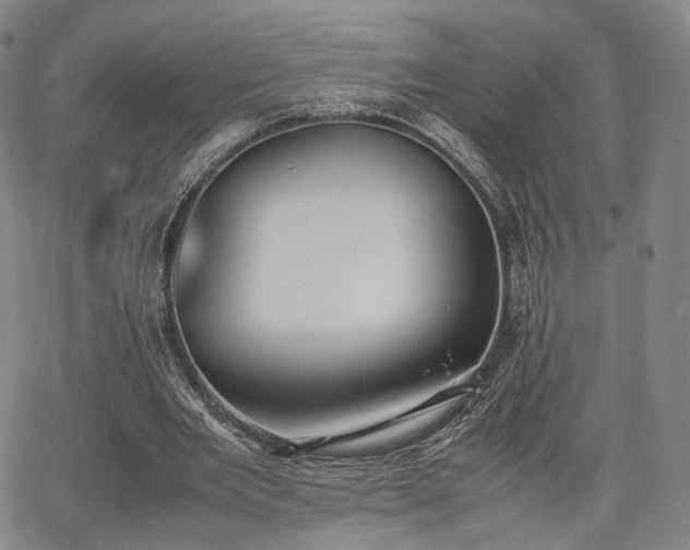 X0000064040485200601301152