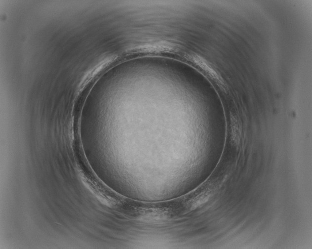 X0000064040486200601301152