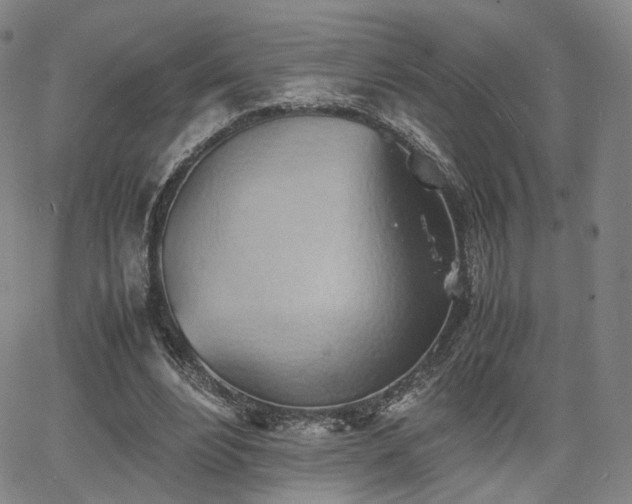 X0000064040488200601301152