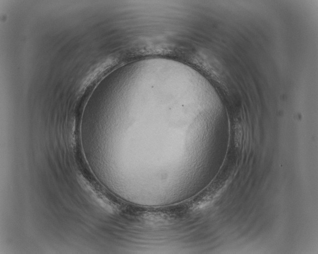 X0000064040490200601301152