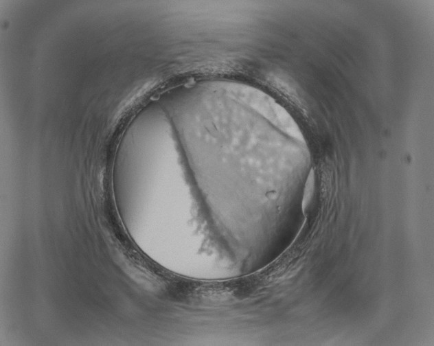 X0000064040491200601301152