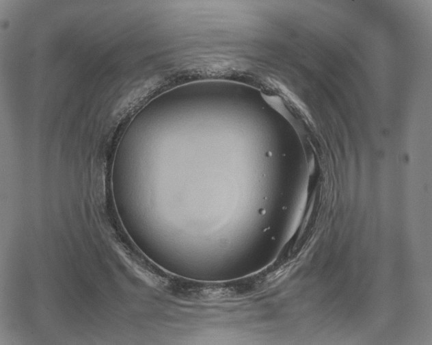 X0000064040493200601301152