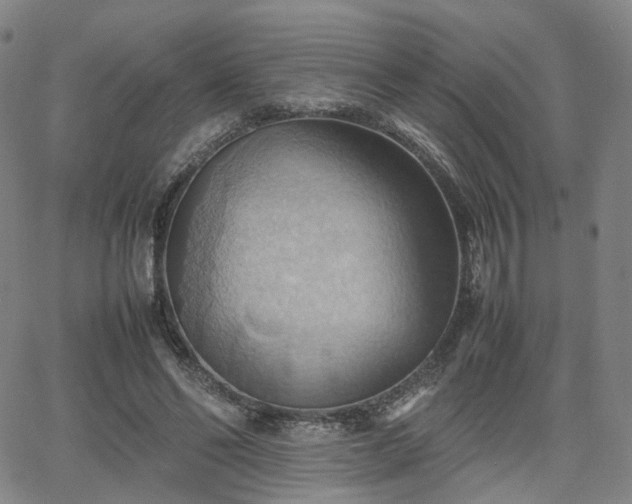 X0000064040494200601301152