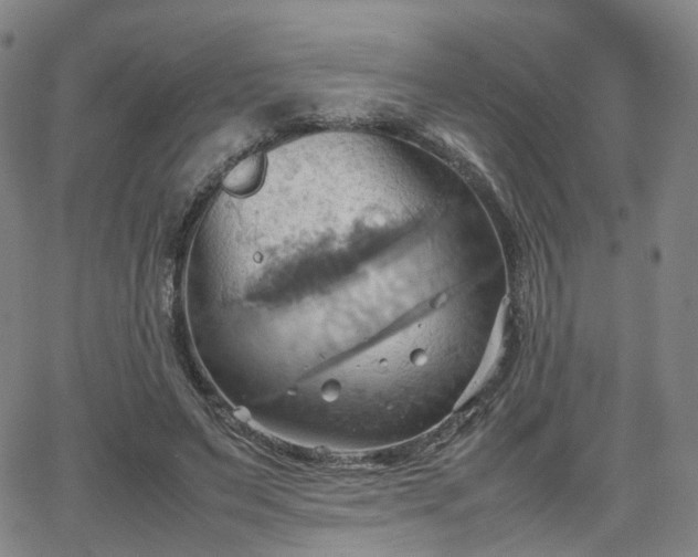 X0000064040495200601301152